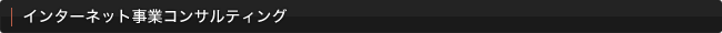 インターネット事業コンサルティング